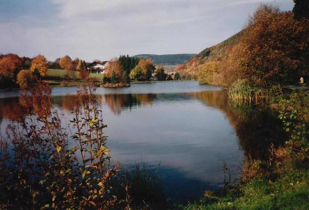 Haus Kesper-Brunen Hotel Willingen  Luaran gambar
