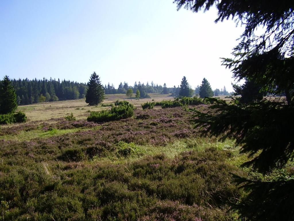 Haus Kesper-Brunen Hotel Willingen  Luaran gambar